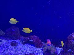 -成都浩海立方海洋公园