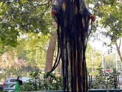 -BOCATA 西班牙餐厅(三里屯店)