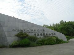 -合肥滨湖国家森林公园