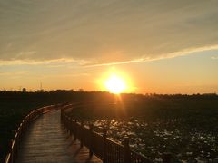 -天津东丽湖风景区