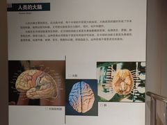 -陕西自然博物馆