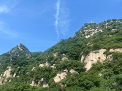 -大岭沟猕猴桃谷风景区