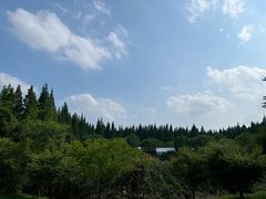 -东平国家森林公园
