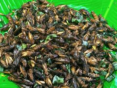 -席娜卡琳火车铁道夜市