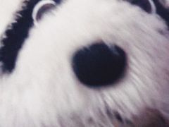 -简奥斯汀·赫本酒吧