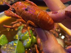 -七裕庄(凯旋南路店)