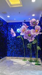 -深圳春天阳光医院·轮廓抗衰中心