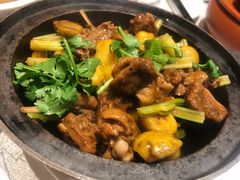 栗子焖青头鸭-老广新意(奥园店)