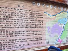 -汤旺河林海奇石景区