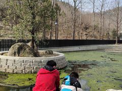 -白水寺森林公园