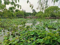 -无锡蠡湖国家湿地公园-蠡园
