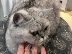 -Oasis绿洲银饰珍珠手作diy(壹方城店)