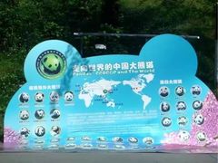 -都江堰中华大熊猫苑