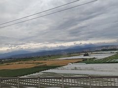-老郑州烩面(火车站分店)