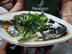 -雄仔农家菜馆·特色葱油鸡(六祖店)
