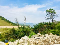 -大姆山草场