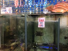 门面-旅南活海鲜-屏东(墾丁海鮮，海鮮餐廳，墾丁團體合菜，平價熱炒，墾丁熱炒店，活海鮮推薦，在地海鮮餐廳)