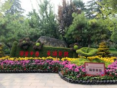 -莲湖公园