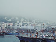-枸杞岛