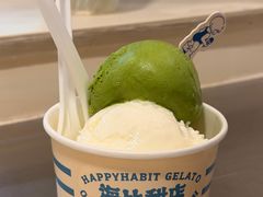 -海比甜店·意式手工冰激淋happy habit gelato