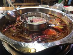 -金鼎雪山牦牛杂火锅(理县总店)