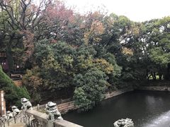 -普陀山风景名胜区-法雨禅寺