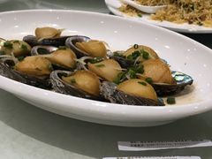 清蒸小鲍鱼-大东海海鲜酒楼(渔人码头总店)