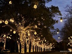 -阳澄湖费尔蒙酒店颐丰阁中餐厅(马鞍山西路店)