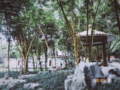 -柳侯公园