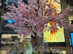 -上海银星皇冠假日酒店
