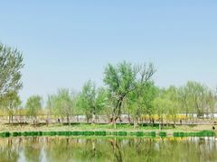 -东郊湿地公园