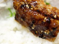 -胜博殿霸王树(嘉里中心店)