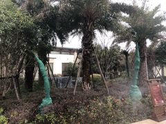 -苏州湾王焰温泉度假酒店