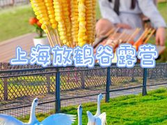 -上海山野camping·户外天幕烧烤·团建拓展营地