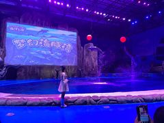 -华夏文旅海洋公园