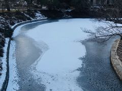 -钓鱼台国宾馆