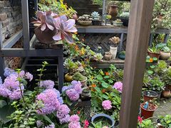 -凤来栖·净庭院·火锅(欧尚店)