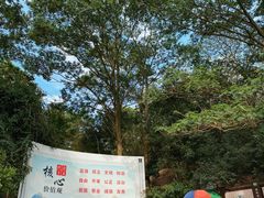 -阳台山森林公园