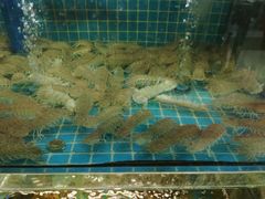 -坛南湾阿强农家乐.海鲜大排档老字号(福州地标美食店)
