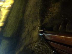 -神仙树公园
