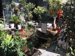 -海韵人家.海景花园经典云南菜(双廊店)