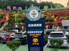 -枇杷园食为鲜火锅(南山店)