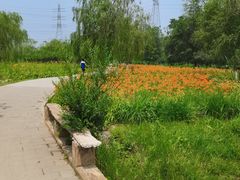 -门城湖公园