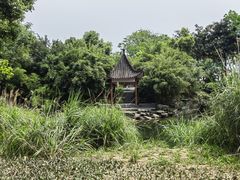 -大渡口区义渡公园