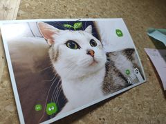 -白兔子密室(长寿路店)