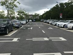 -迪士尼乐园停车场