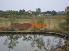 -白鹭湾湿地公园