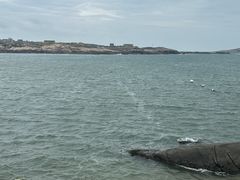 -坛南湾阿强农家乐.海鲜大排档老字号(福州地标美食店)