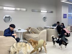 -怪兽屋·羊驼·猫咖·狗咖(俊华广场店)