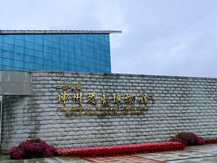 -嘉荫恐龙国家地质公园